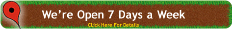 Showsite Location